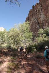 Cottonwoods [sat aug 30 08:46:42 mdt 2025]